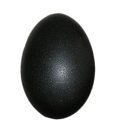 Яйцо стало черным. Яйцо страуса эму. Страусиное яйцо эму. Черные яйца. Белое яйцо на черном фоне.